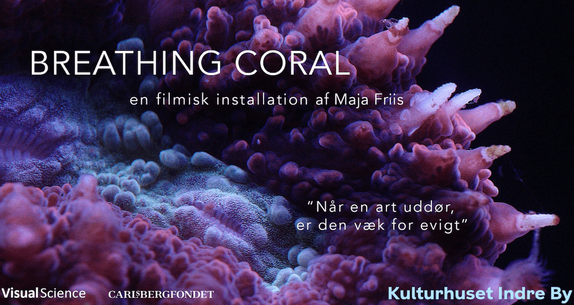 Breathing coral