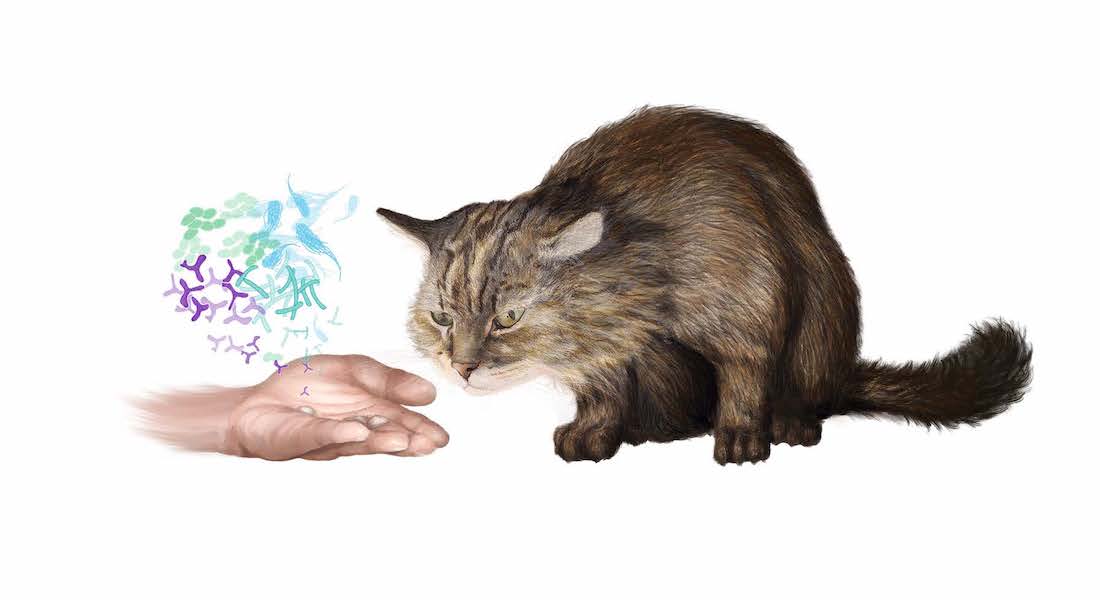 Hologenomics and cat