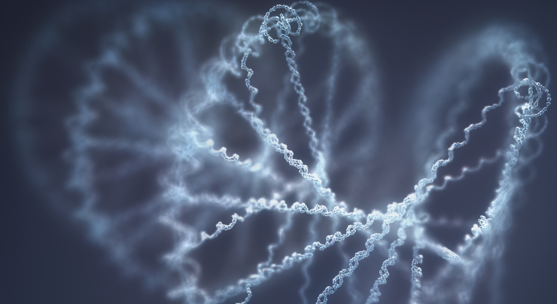 RNA molecule