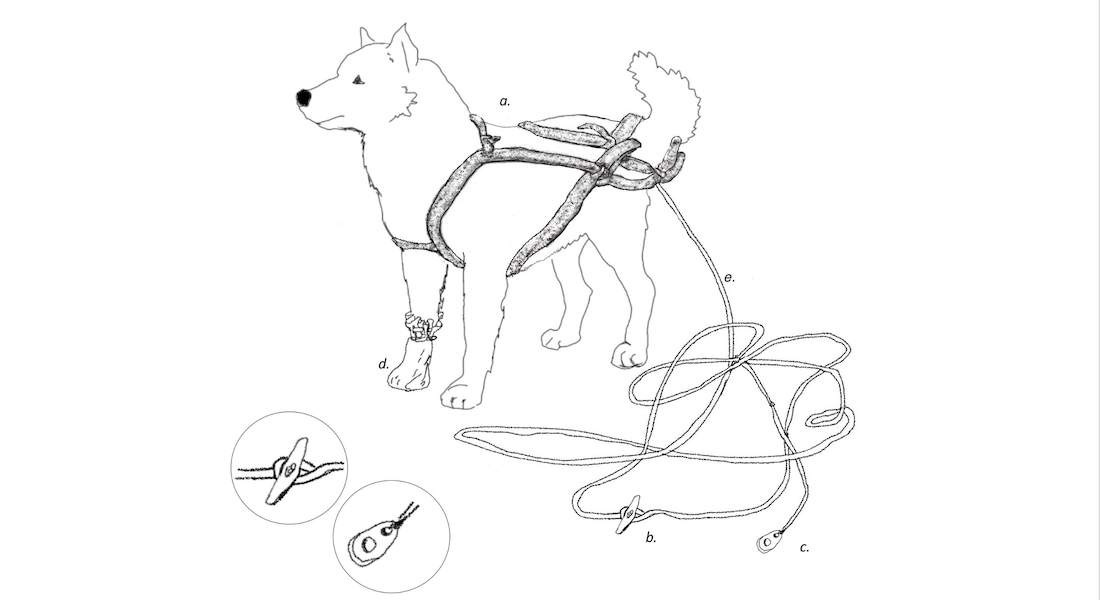 Dog equipment