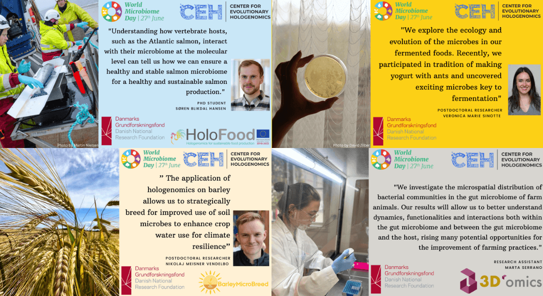 Some of the social media posts for World Microbiome Day