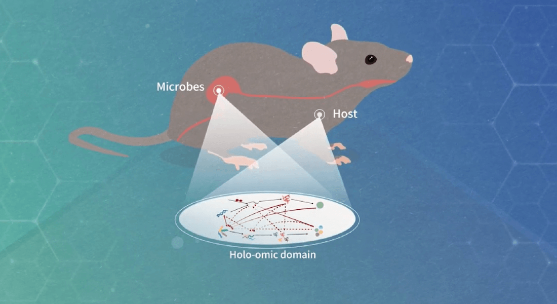 Mouse and microbiome illustrating the holobiont