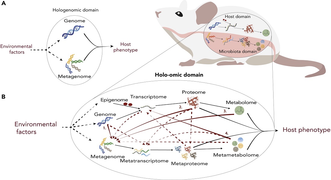 Illustration of holo omics