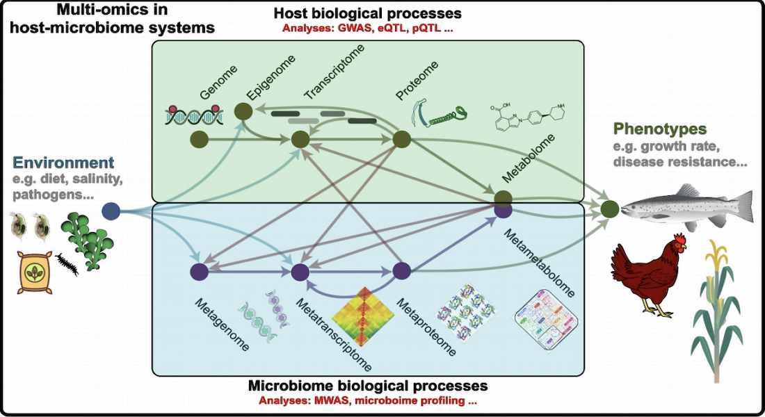 Multi-omics data