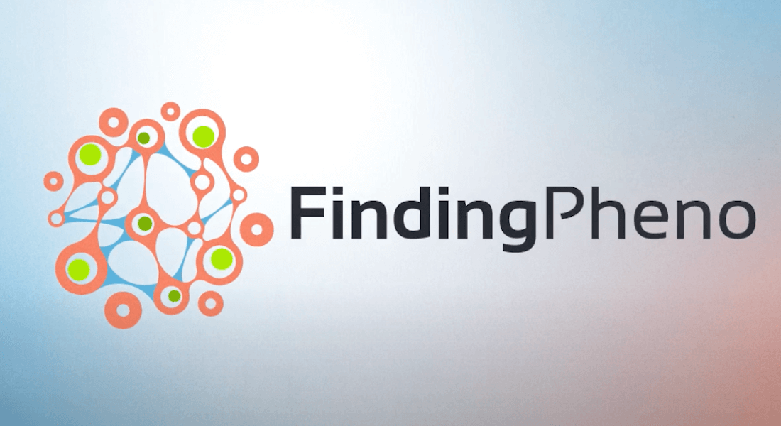 finding pheno logo