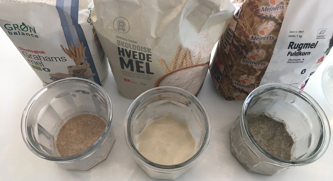sour dough starter kit